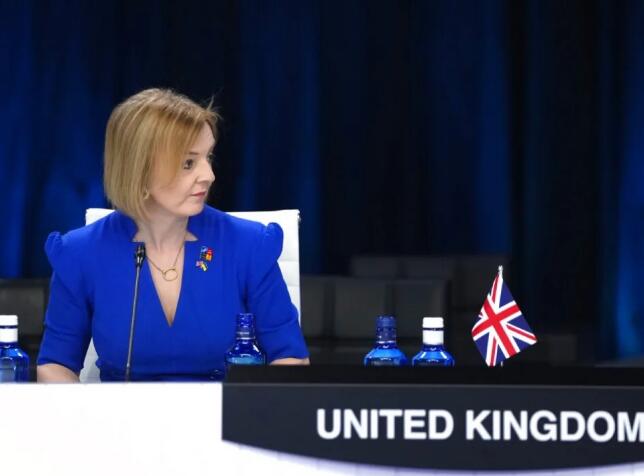 英外相卓慧思宣布競逐保守黨黨魁 增至10人表態參選